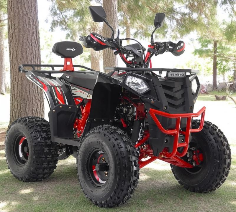moto eagles