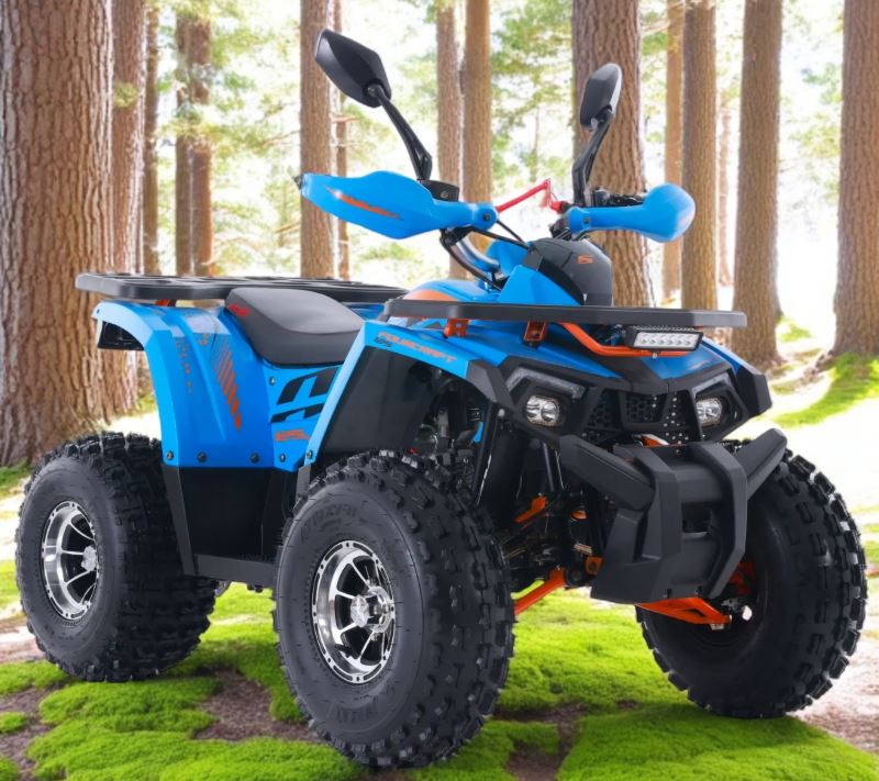 moto eagles