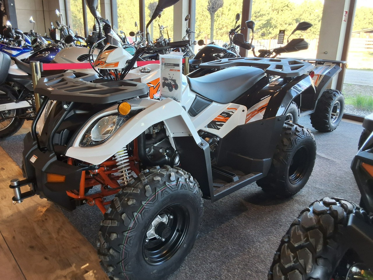 moto eagles