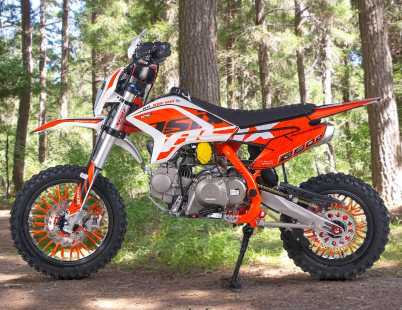 moto eagles